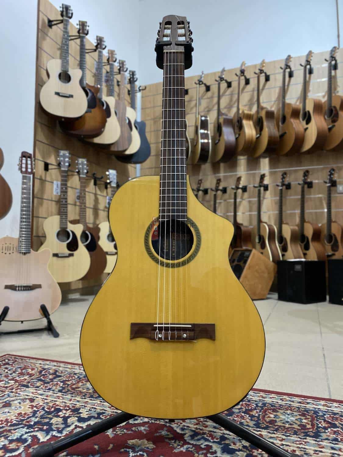 Line 6 Variax 300 Acoustic Nylon Natural | Gas Music Store