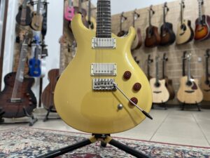 Paul Reed Smith PRS SE DGT Gold Top (MOON INLAYS)